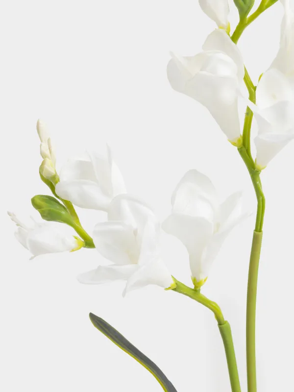 Decorative branch, 75 cm, polyurethane, White freesia, Flower garden, image-2