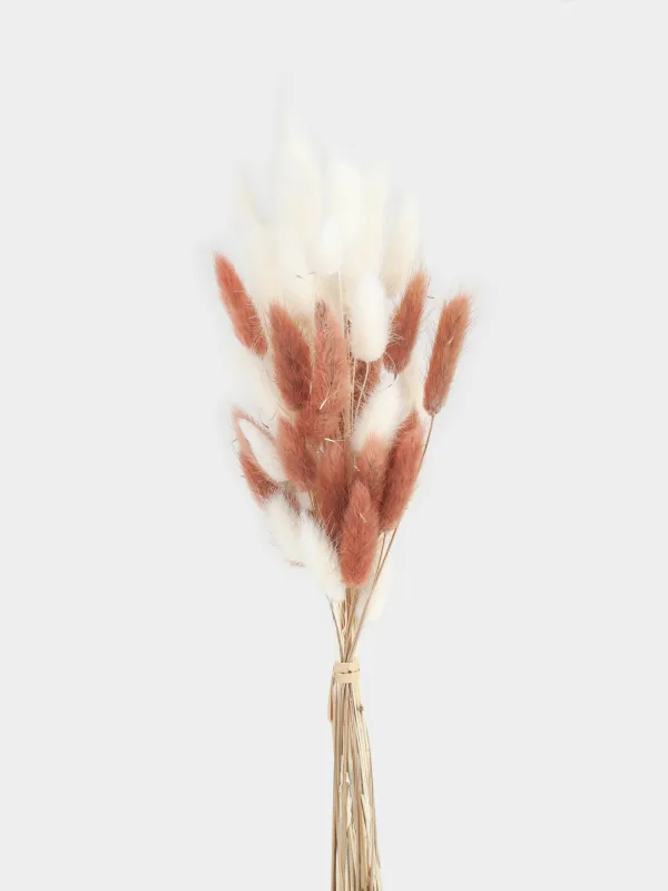 Decorative bouquet, 60 cm, dried flowers, beige / white, Spikelets, Dried flower, image-1