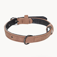 Pet products