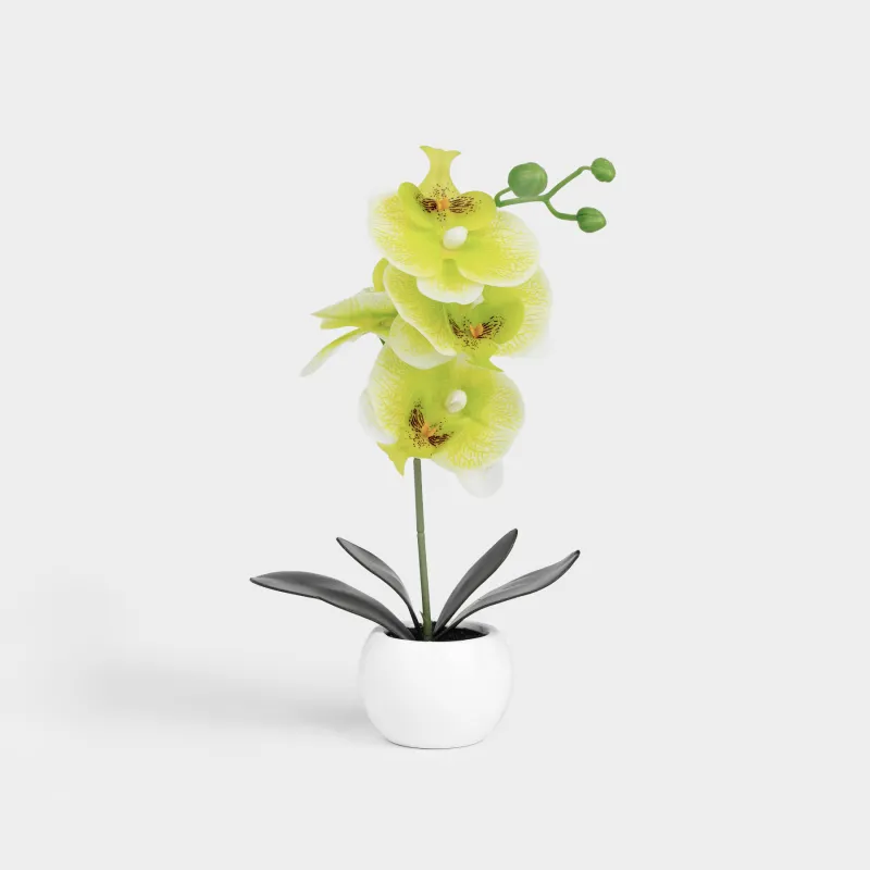 Artificial plant, 34 cm, in a pot, TPE / ceramic, Green orchid, Orchid