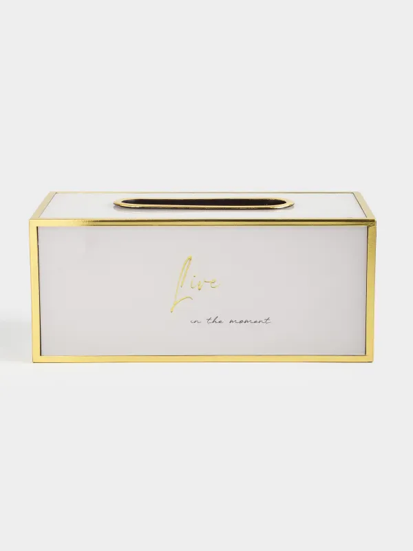 Paper napkin box, 24x13 cm, plastic / glass, milky gold, Live, Fardella, image-0