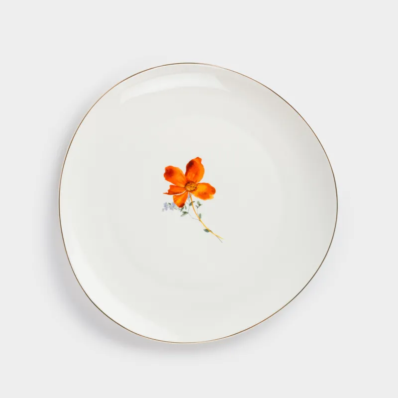 Dinner plate, 28 cm, porcelain N, white, with golden edging, wildflowers, Yarrow