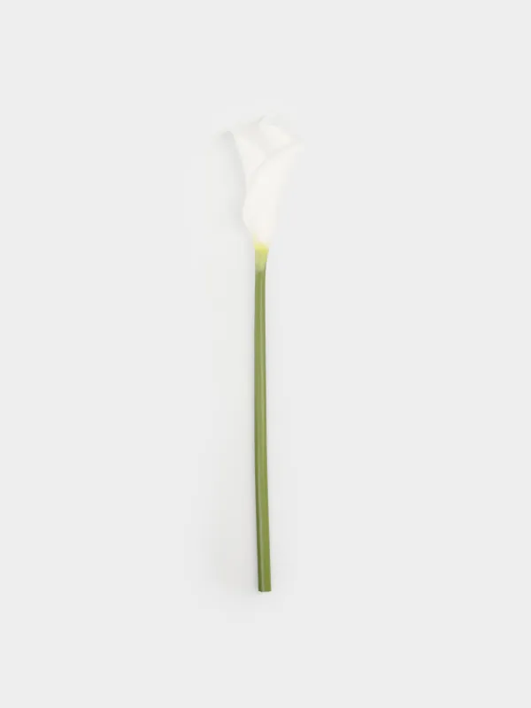 Artificial flower, 45 cm, polyurethane / PVC, White Calla, Flower garden, image-0