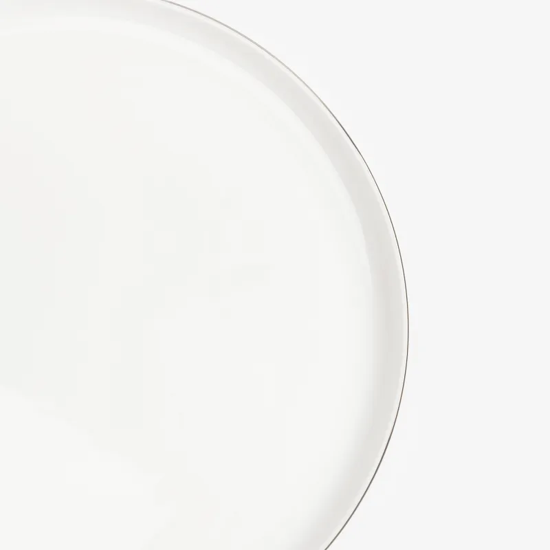 Dinner plate, 28 cm, porcelain F, Antarctica, image-3