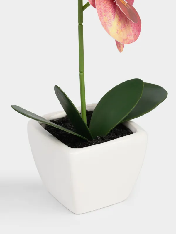 Artificial plant, 34 cm, in a pot, TPE / ceramic, Red Orchid, Orchid, image-2