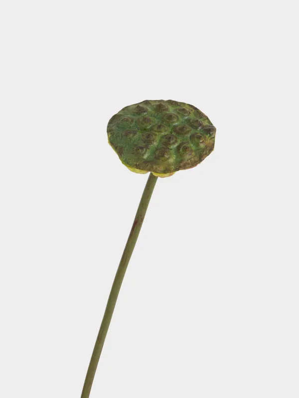 Artificial flower, 76 cm, polyurethane, Lotus, Flower garden, image-2