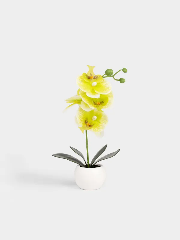 Artificial plant, 34 cm, in a pot, TPE / ceramic, Green orchid, Orchid, image-0