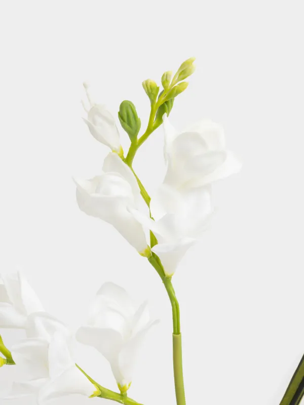 Decorative branch, 75 cm, polyurethane, White freesia, Flower garden, image-3
