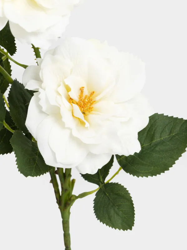 Decorative branch, 70 cm, plastic / polyester, White rose, Flower garden, image-2