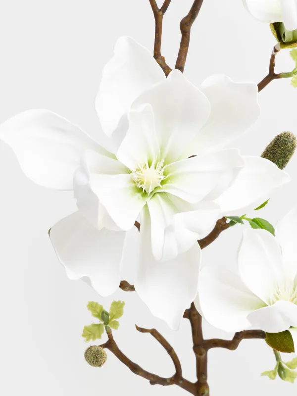 Decorative branch, 90 cm, polyurethane, White magnolia, Magnolia, image-2