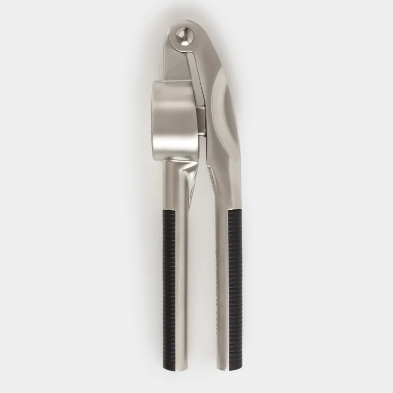 Garlic press, 16 cm, metal / plastic, Accelerated, image-1