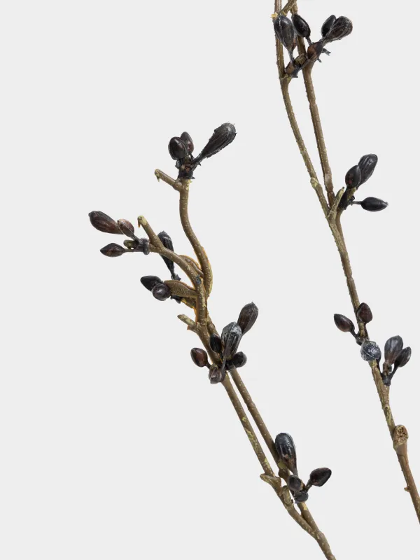 Decorative branch, 95 cm, polyethylene / metal, Blue berries, Blue berry, image-3