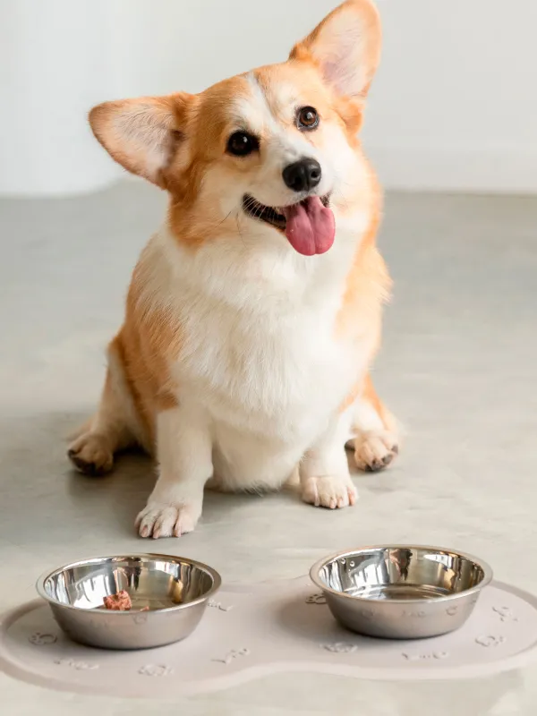 Pet bowl mat, 45x25 cm, rubber, gray-beige, Favorite pet, image-2